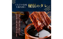 うなぎ蒲焼（中国産鰻&nbsp;222g×3尾）