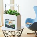 おさかな畑&nbsp;アクアスプラウトSV&nbsp;【ホワイト】&nbsp;アクアポニックス&nbsp;水耕栽培&nbsp;キット（50HZ）