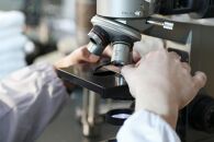 そこかし粉　12個セット