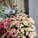 生花《スターチス》花職人Ikeda（ふるさと納税返礼品仕様&nbsp;ニュアンスカラーｍix）