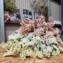 生花《スターチス》花職人Ikeda（ふるさと納税返礼品仕様&nbsp;ニュアンスカラーｍix）