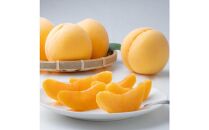 桃&nbsp;2026年　ご家庭用　岡山県産黄金桃1.5kg（5～6玉）【家庭用&nbsp;黄金桃&nbsp;桃&nbsp;もも&nbsp;岡山県産&nbsp;国産&nbsp;フルーツ&nbsp;果物&nbsp;新鮮&nbsp;おすすめ&nbsp;人気&nbsp;岡山県&nbsp;岡山市&nbsp;国産&nbsp;】