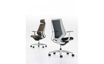 Mdt3_コクヨチェアー　デュオラ2(ダークグレージュ・本体黒)／固定肘・ハイバック／カーペット用（Wキャスター）／在宅ワーク・テレワークにお勧めの椅子