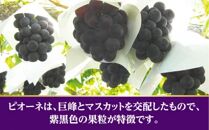 ピオーネ&nbsp;ぶどう&nbsp;葡萄&nbsp;約1kg&nbsp;(2房)
