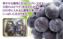 ピオーネ&nbsp;ぶどう&nbsp;葡萄&nbsp;約1kg&nbsp;(2房)