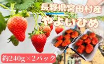 宮田村産　ウエストファームのいちご　やよいひめ　約240g×2パック（&nbsp;果物&nbsp;フルーツ&nbsp;上伊那&nbsp;長野&nbsp;信州&nbsp;産地直送&nbsp;&nbsp;新鮮&nbsp;甘い&nbsp;甘酸っぱい&nbsp;お取り寄せ&nbsp;人気&nbsp;ギフト&nbsp;贈答&nbsp;お祝い&nbsp;プレゼント&nbsp;スイーツ&nbsp;デザート&nbsp;ビタミンC&nbsp;限定&nbsp;国産&nbsp;日本産&nbsp;）