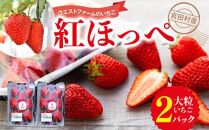 宮田村産　ウエストファームのいちご　紅ほっぺ　約240g×2パック