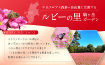 高嶺ルビーはちみつ120g（たかね&nbsp;食品&nbsp;コンクール&nbsp;入賞&nbsp;優良&nbsp;人気&nbsp;そば&nbsp;ソバ&nbsp;そばの花&nbsp;ハニー&nbsp;蜂蜜&nbsp;ミツバチ&nbsp;蜜蜂&nbsp;加工品&nbsp;甘い&nbsp;天然&nbsp;甘味&nbsp;香り&nbsp;フルーティー&nbsp;芳醇&nbsp;豊潤&nbsp;高級&nbsp;自然&nbsp;国産&nbsp;日本産&nbsp;健康&nbsp;美味しい&nbsp;料理&nbsp;スイーツ&nbsp;朝食&nbsp;デザート&nbsp;上伊那&nbsp;宮田村&nbsp;長野&nbsp;信州&nbsp;プレゼント&nbsp;ギフト&nbsp;お祝い&nbsp;贈答&nbsp;贈り物）