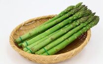 長野県宮田村産！　アスパラガス２ｋｇ（野菜 食品 人気 新鮮 健康 美味しい 春 夏 おつまみ 茹で マヨネーズ 栄養 地元産 国産 日本産 高品質 自然派 上伊那 宮田村 長野 信州 人気）