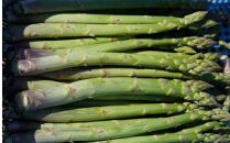 【予約受付 7月～】長野県宮田村産！　アスパラガス２ｋｇ（野菜 食品 人気 新鮮 健康 美味しい 春 夏 おつまみ 茹で マヨネーズ 栄養 地元産 国産 日本産 高品質 自然派 上伊那 宮田村 長野 信州 人気）