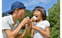 【令和7年年米】長野県産『一等米』信州 南アルプス 大地の恵コシヒカリ２０ｋｇ