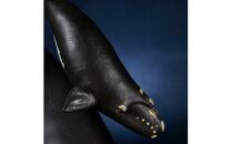 NatureTales&nbsp;セミクジラ親子【&nbsp;フィギュア&nbsp;アニマルフィギュアコレクション&nbsp;大阪府&nbsp;門真市&nbsp;】