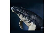 NatureTales ザトウクジラ親子【 フィギュア アニマルフィギュアコレクション 大阪府 門真市 】