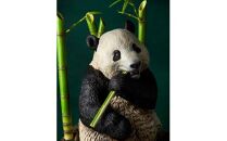 NatureTales&nbsp;大熊猫【&nbsp;フィギュア&nbsp;アニマル&nbsp;フィギュアコレクション&nbsp;大阪府&nbsp;門真市&nbsp;】