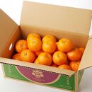 高級ブランド&nbsp;秀品&nbsp;紀州有田&nbsp;田村産&nbsp;みかん&nbsp;約3kg