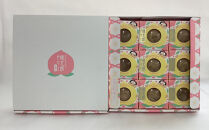 岡山県産清水白桃使用『桃太郎ゼリー』9個入り