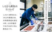 【5月2日お届け】【復興支援】能登の鮮魚を捌いてお届け！旬の刺身盛り合わせセット（4人前）