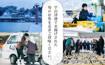 【5月2日お届け】【復興支援】能登の鮮魚を捌いてお届け！旬の刺身盛り合わせセット（4人前）