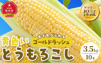【先行予約】旭川近郊産　黄色いとうもろこし(ゴールドラッシュ) 3.5kg(10本) 2026年8月上旬から発送開始予定 【 人気 北海道産 糖度 生 野菜 スイートコーン 産地直送 バーベキュー BBQ コーン 旬 お取り寄せ 旭川市 北海道 】 _04842