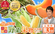 ◆2026年発送先行予約◆【定期便／全3回】旬の極味！『市場厳選』野菜・果物お手軽セット 【セット 旭川産 メロン 赤肉 とうもろこし グリーンアスパラ アスパラガス トウモロコシ フルーツ 野菜 旬 定期便 果物 旭川市 北海道ふるさと納税 】_04844