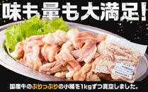 《業務用・訳アリ》国産牛　小腸　1kg