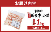 《業務用・訳アリ》国産牛　小腸　1kg