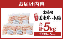 《業務用・訳アリ》国産牛　小腸　5kg