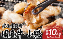 《完全業務用》国産牛　小腸　10kg