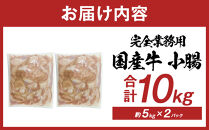 《完全業務用》国産牛　小腸　10kg