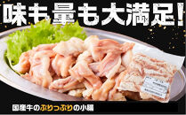 《完全業務用》国産牛　小腸　10kg