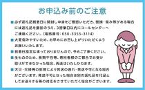 2026年&nbsp;くぼ農園&nbsp;ぶどう&nbsp;セレクション&nbsp;4房（合計約2.0kg）