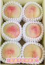 くぼ農園 白桃 セレクション 約1.5kg