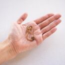 YAKU-SUGI×SUI-GYU&nbsp;RETRO