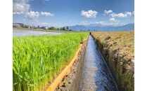 【令和8年産・新米予約・定期便】安心安全の新潟県南魚沼産特別栽培米コシヒカリ　10kg×12か月　新潟県認証【2026年10月上旬より1ヶ月以内に順次発送予定】