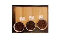 厳選コーヒー豆100g×5種類セット