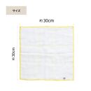 Ag+イヤなニオイのしない&nbsp;除菌ふきん&nbsp;かや織り&nbsp;2色&nbsp;6枚組&nbsp;銀イオン&nbsp;食器拭き&nbsp;台拭き&nbsp;吸水&nbsp;抗菌