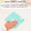 Ag+イヤなニオイのしない&nbsp;除菌ふきん&nbsp;不織布&nbsp;3色&nbsp;15枚組&nbsp;銀イオン&nbsp;食器拭き&nbsp;台拭き&nbsp;吸水&nbsp;抗菌