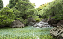 西宮市大谷記念美術館　入館チケット3枚(発行日から1年間有効)