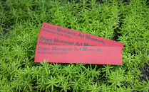 西宮市大谷記念美術館　入館チケット3枚(発行日から1年間有効)