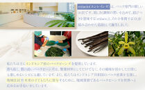 夙川バニラチーズタルト＜3個入＞