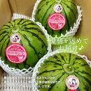 【先行予約】797.小玉スイカ　ピノ・ガール（1玉3kg前後×3玉）◇離島不可（北海道、沖縄本島は配送可能）◇2026年6月上旬頃～7月上旬頃に順次発送予定