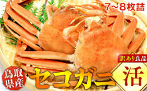 【活】鳥取県産セコガニ　訳あり　良品7~8枚詰《かに カニ 蟹 セコガニ》※2025/11/6～2025/12/25に順次発送予定※着日指定不可  離島不可（北海道、沖縄本島は配送可能）