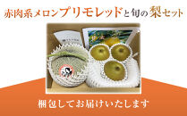 【先行予約】925.【ふるさと納税】【赤肉系メロン】プリモレッド&nbsp;(メロン)&nbsp;と旬の梨セット※離島への配送不可（北海道、沖縄本島は配送可能）【先行予約&nbsp;メロン&nbsp;赤肉&nbsp;梨&nbsp;なし&nbsp;二十世紀梨&nbsp;甘太&nbsp;果物&nbsp;フルーツ&nbsp;メロン&nbsp;旬&nbsp;甘い&nbsp;鳥取県&nbsp;おすすめ&nbsp;人気】