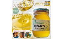 ※25.4.1一時停止※944.天然はちみつ　アカシア　600g×1本  蜂蜜 ハチミツ ハチ蜜 鳥取県産◇日本全国配送可能  お申し込みから14日以内に発送