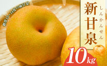 【先行予約】梨&nbsp;新甘泉（しんかんせん）10kg（JA）※2026年8月中旬～9月上旬頃に順次発送予定【梨&nbsp;なし&nbsp;ナシ&nbsp;新甘泉&nbsp;フルーツ&nbsp;果物&nbsp;鳥取県&nbsp;北栄町&nbsp;おすすめ&nbsp;人気】