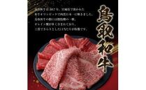 17.鳥取和牛　ヒレステーキセット　240g◇