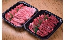 45.鳥取牛ハラミと鳥取和牛カルビの特大焼肉セット　合計1.6kg