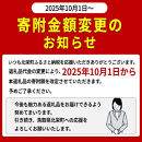 【ボイル】タグ付き松葉ガニ　特大2枚※2025年11月上旬～2026年3月下旬頃に順次発送予定