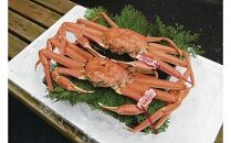 【ボイル】タグ付き松葉ガニ　2枚※2025年11月上旬～2026年3月下旬頃に順次発送予定｜&nbsp;蟹&nbsp;かに&nbsp;松葉ガニ&nbsp;松葉蟹&nbsp;タグ付き&nbsp;鳥取県産&nbsp;北栄町&nbsp;おすすめ&nbsp;人気