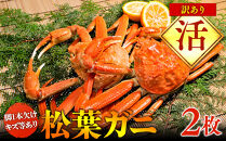 【活】訳あり　松葉ガニ　2枚◇※2025年11月上旬～2026年3月下旬頃に順次発送予定※着日指定不可